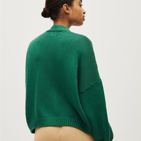 Babaa no 22 tree fern - Picture 2 of 6